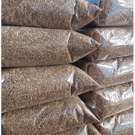 

Jinten Putih Utuh 1 Kg / Cumin Seed