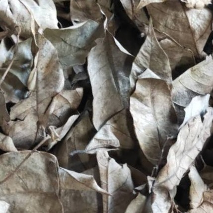 

Daun Pala Kering 1 Kg