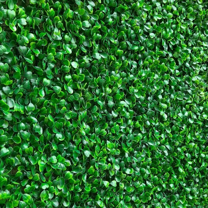 Daun Dolar Plastik Hiasan Dinding
