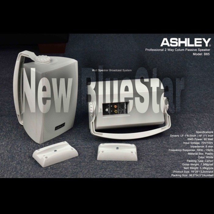 Speaker Pasif Ashley B65 Original 6,5 Inch Monitor Ashley B 65 Passive