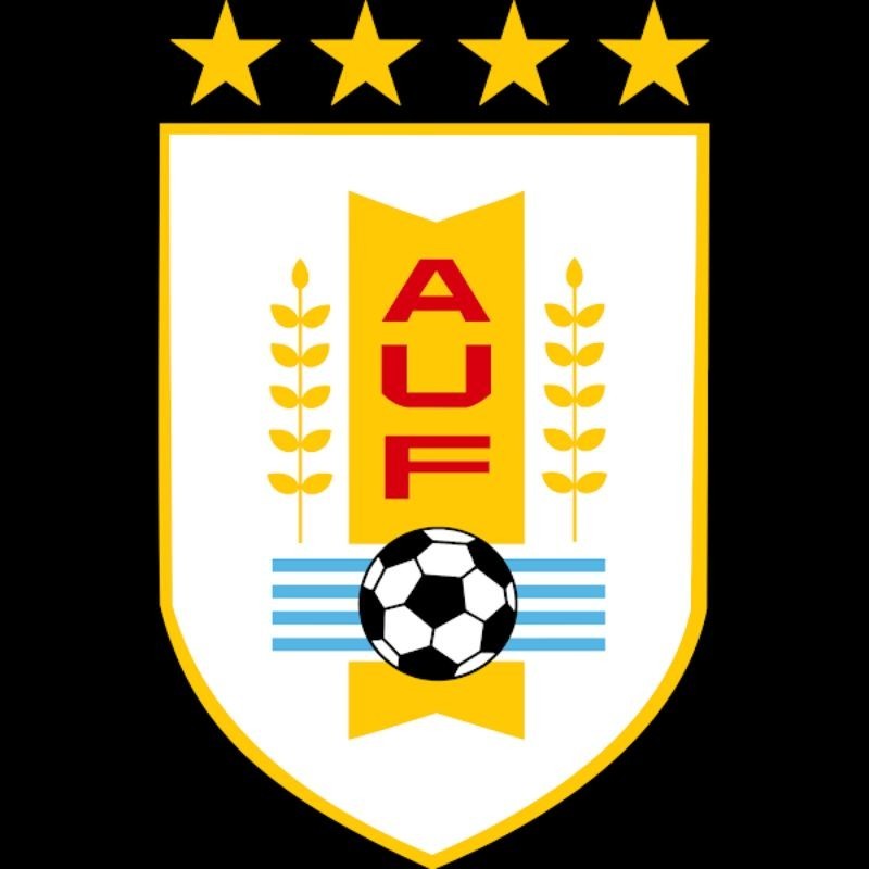 JERSEY URUGUAY (BARU)