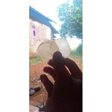 

NEW PRODUK ES010 EMPING MELINJO MENTAH TIPIS 1 KG PRODUKSI LIMPUNG TERLARIS !!!!!