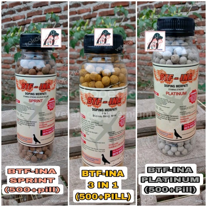 JAMU MERPATI BTF INA PLATIUM SPRINT 3in1 PIL BTF-INA PILLS MERPATI