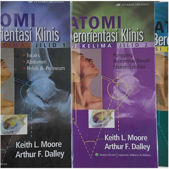 

[Original] Anatomi Berorientasi Klinis Jl 1,2,3, Ed.5 - Keith L.Moore