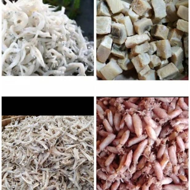 

Ikan Asin Jambal Roti / Peda Merah / Cumi Asin / Ebi / Teri Nasi Medan / Teri Jengki