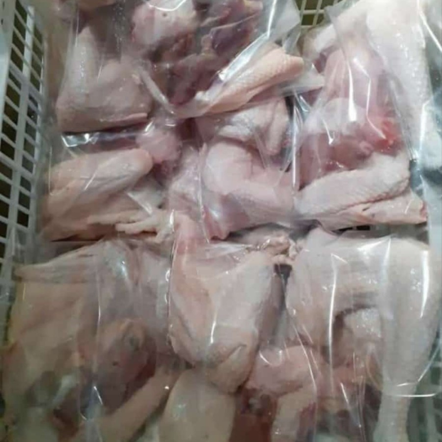 

ayam kampung potong