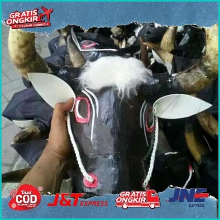 Bantengan Tanduk Asli Jaranan Banteng Jaranan