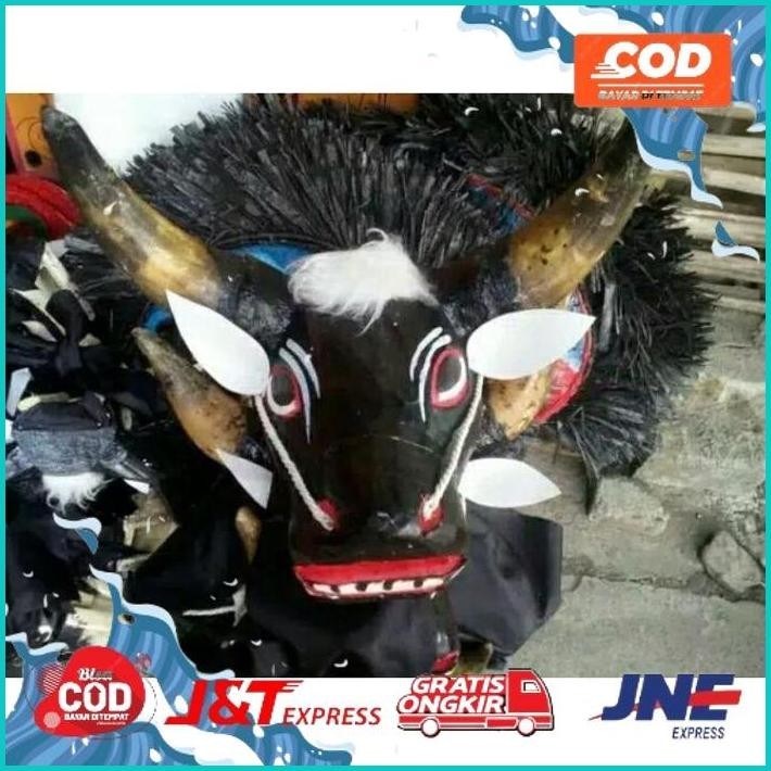 [Ready] Bantengan Tanduk Asli Jaranan Banteng Jaranan