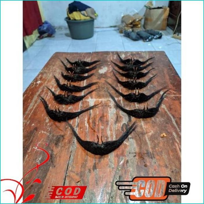 TERLARIS JEBRES/BRENGOS/KUMIS PALSU KUDA KEPANG/KUDA LUMPING/JARANAN/JATIL KESENIAN