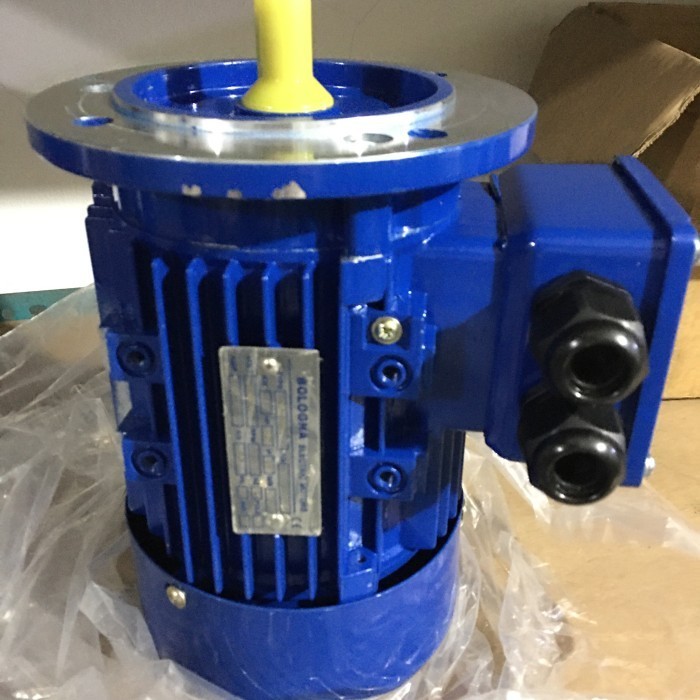 Electric motor BOLOGNA 3phase (Flange) 4pole 0.25-3HP