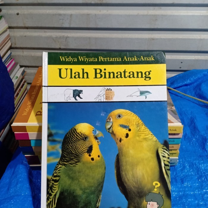 Buku Widya Wiyata Pertama Anak Anak Dinosaurus Jual 1 An