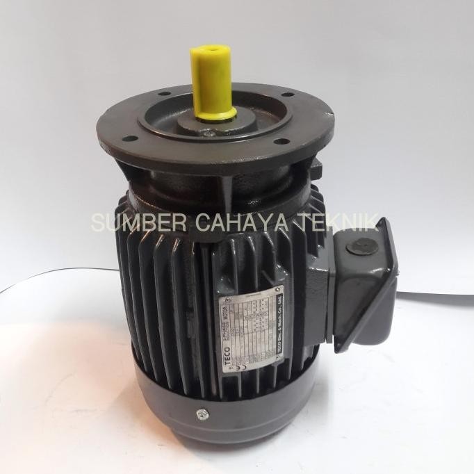TECO 2 HP 3 Phase Induction Motor Dinamo / Elektro Motor Flange