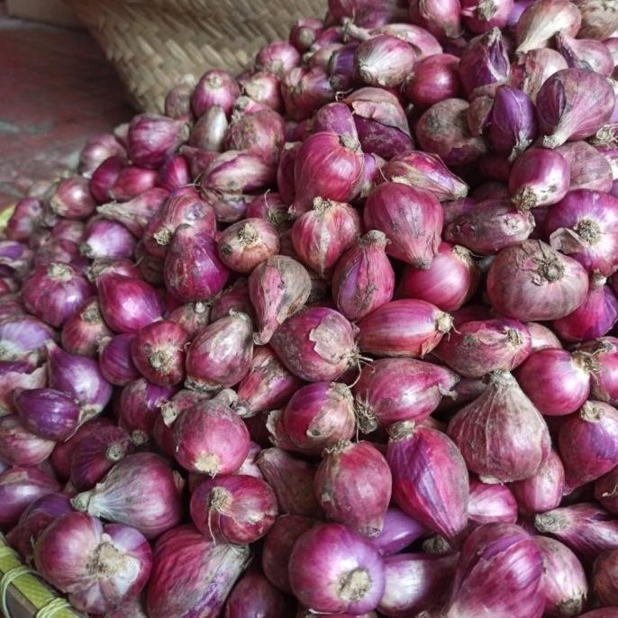 

Bawang Merah Segar 1 kg
