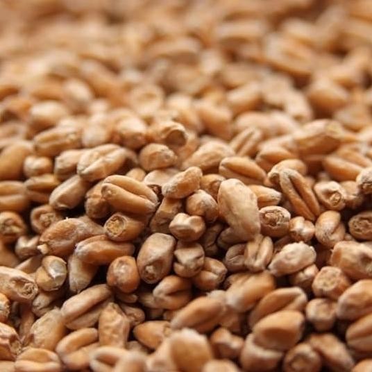 

Weyermann Pale Wheat Malt 3.0 - 5.0 Ebc 1000Gr Germany