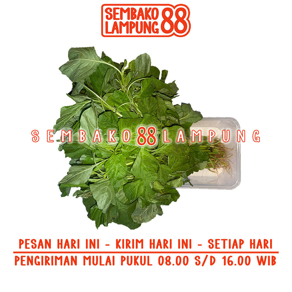

Bayam 1 Ikat | Sembako Lampung 88