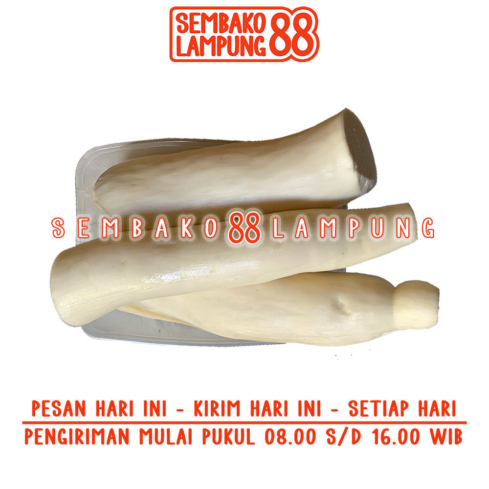 

Ubi Kayu / Singkong 1 Kg | Sembako Lampung 88