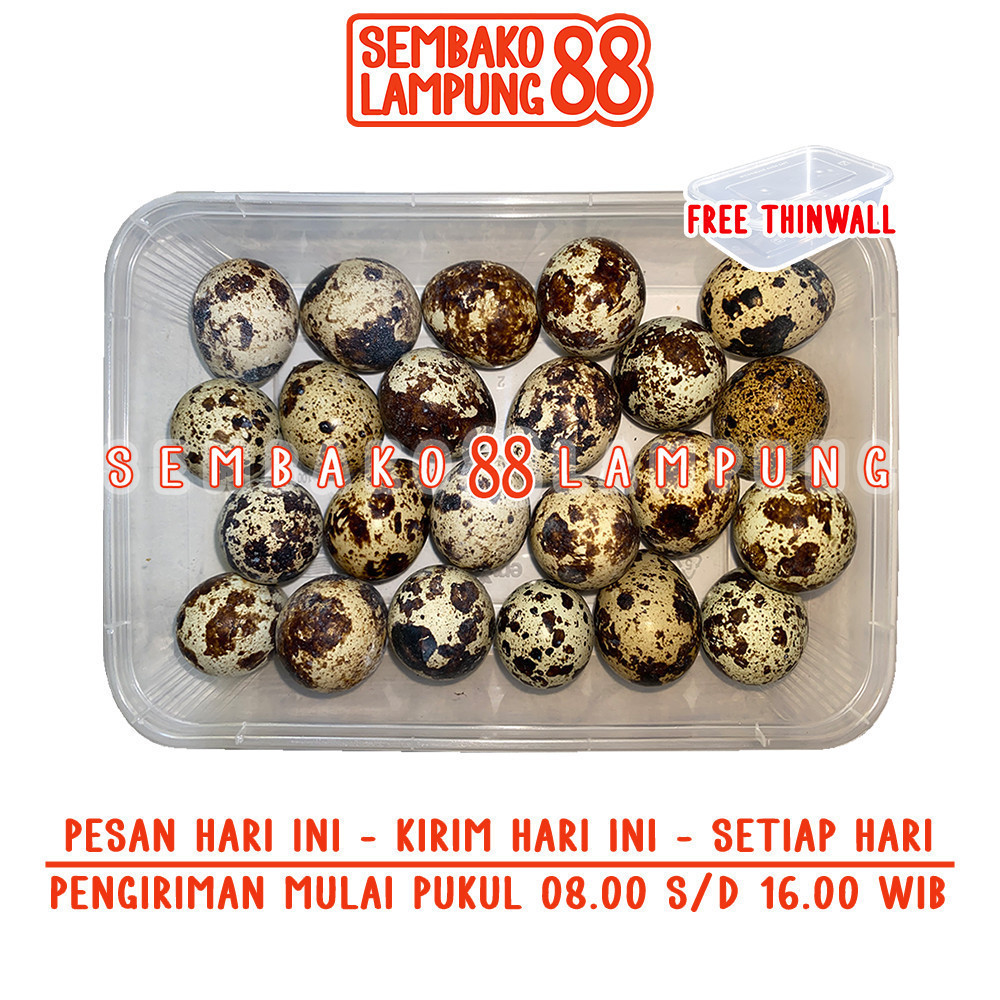 

Telur Puyuh Mentah 250 Gr | Sembako Lampung 88