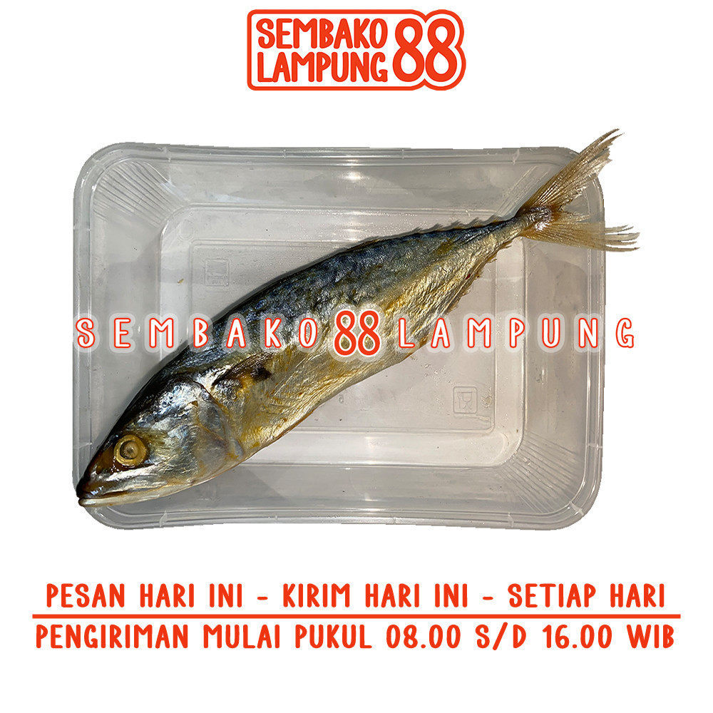 

Ikan Asin Peda 100 Gr | Sembako Lampung 88