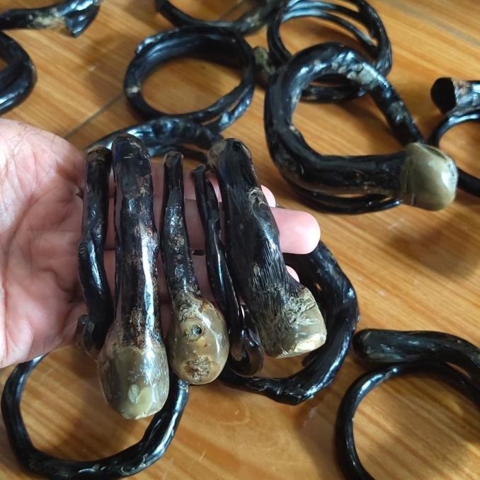 Viral | Gelang Bahar Hitam