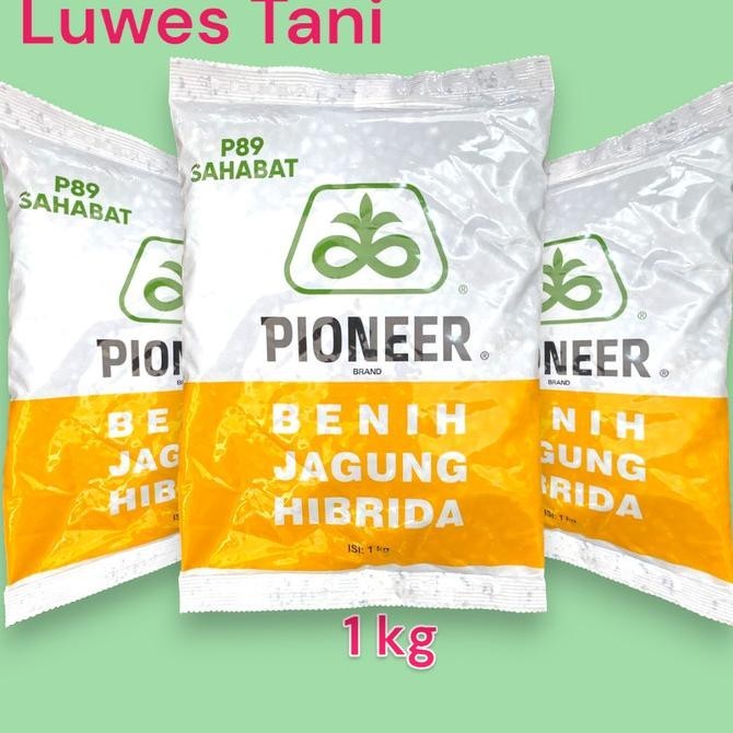 =====] P89 Sahabat pioneer benih jagung hibrida