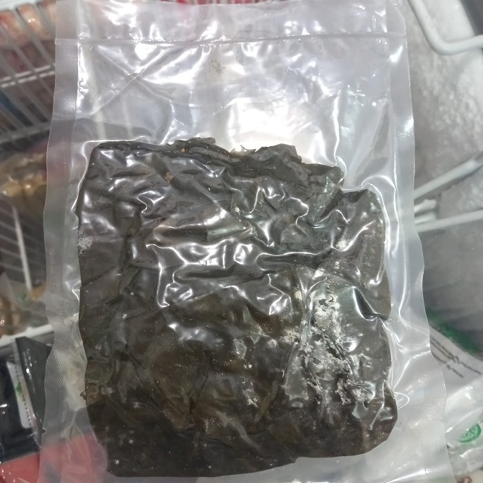 

------] versi hemat !!! Kombu Konbu 50 gr Dashima Kelp Rumput Laut Kaldu Dry Seaweed Dashi