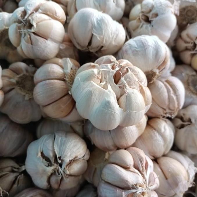 

PROMO Bawang Putih Sico 1/2Kg Promo Murah Meriah - Shuffel BERKUALITAS