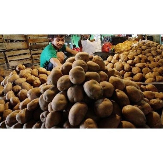 

PROMO Kentang Dieng Super 500 Gr Fresh Dari Petani - Shuffel BERKUALITAS