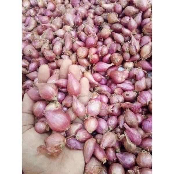 

Bawang Merah Kecil 500 Gr Asli Nganjuk Meteorlight