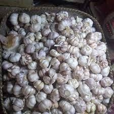 

Bawang Merah Besar Sedang 1/2 Kg Bawang Putih Sinco 1/2 Kg Bonus Cabe Rawit 150Gr Mirzbenda