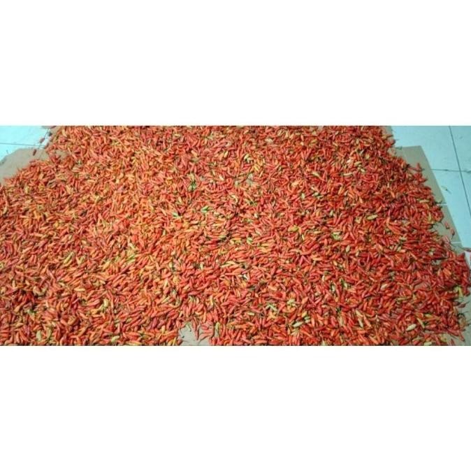 

BERKUALITAS Bawang Kating 250Gr + Bawang Merah Besar Sedang 250Gr Bonus Cabe 150 MURAH