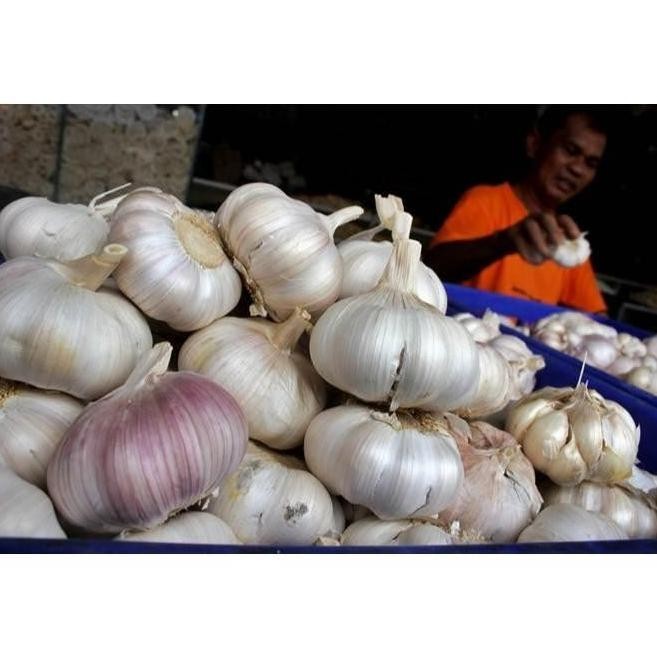 

TERMURAH Bawang Putih 250 Gr + Bawang Merah 250 Gr Bonus Cabe 150Gr - Shuffel BAGUS