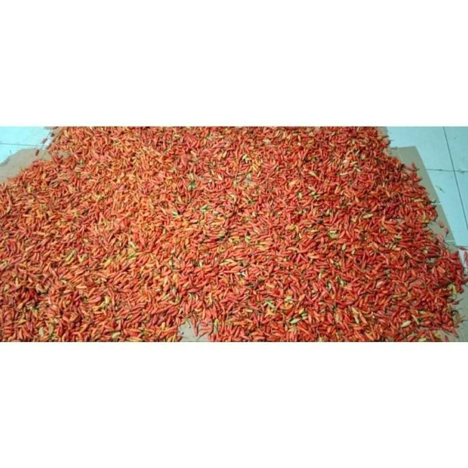 

BERKUALITAS Bawang Kating 250Gr + Bawang Merah Besar Sedang 250Gr Bonus Cabe 150 MURAH