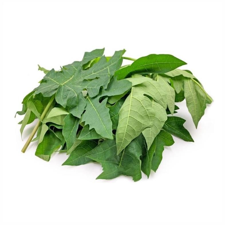 

1KG POWDER BUBUK SERBUK DAUN PEPAYA / KATES KEMASAN 1 KG RO15