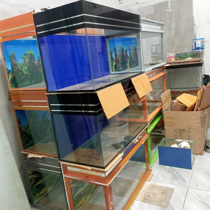 Aquarium Kaca Minimalis 50 60 Cm