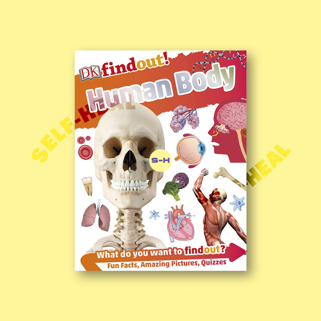

DK findout! Human Body by DK