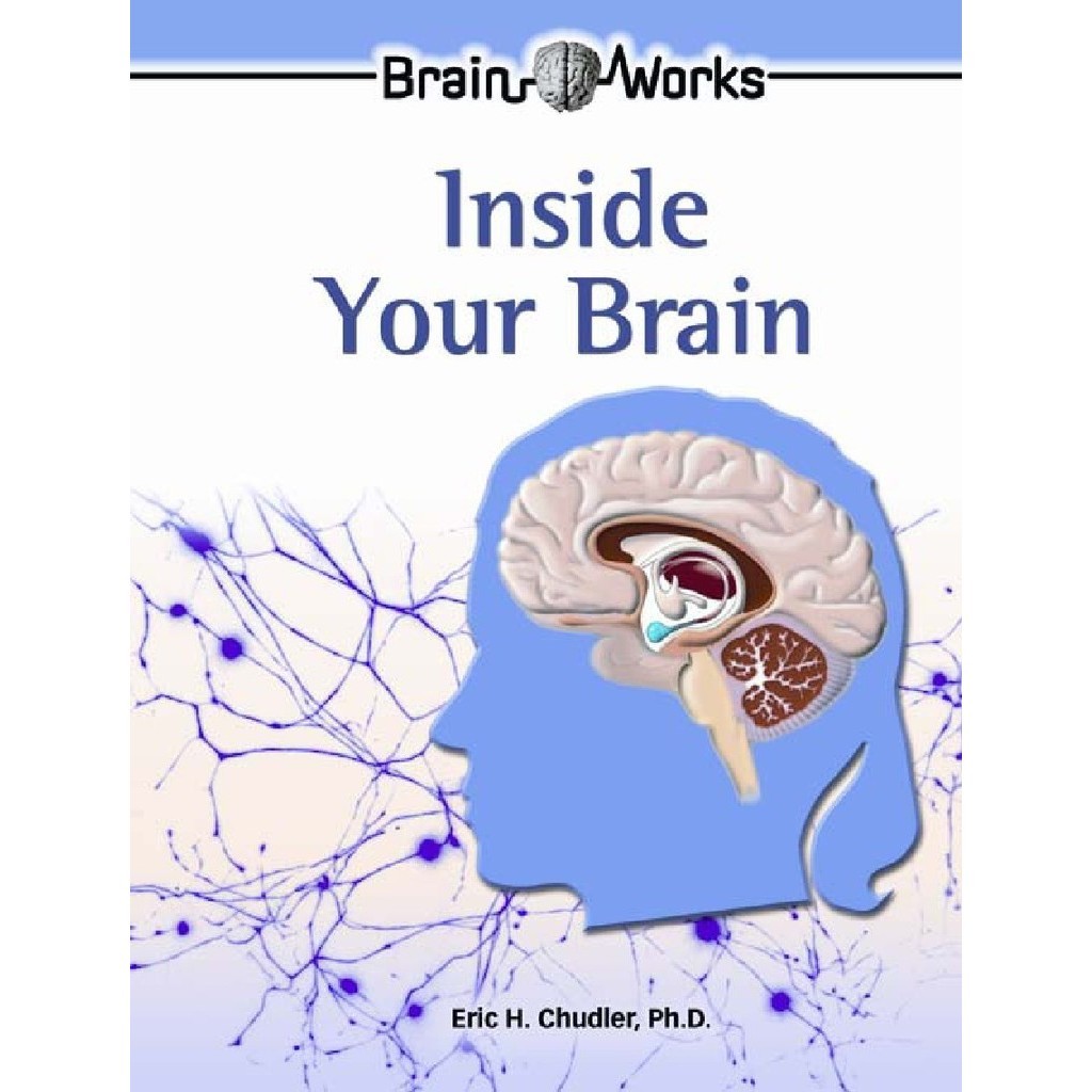 

Brain Works - Inside Your Brain (D)