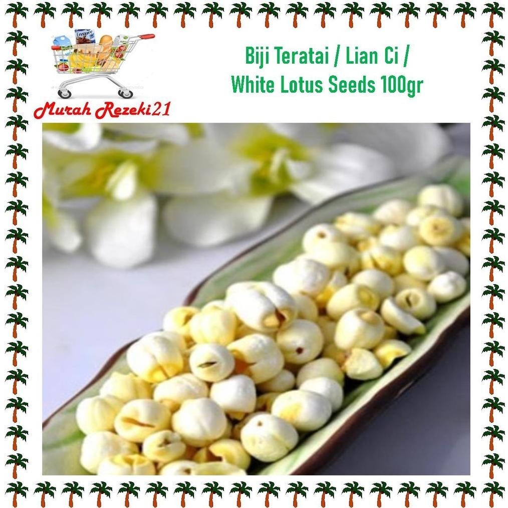 

BN Biji Teratai / Lianci  White Lotus Seeds 100gr TERLARIS