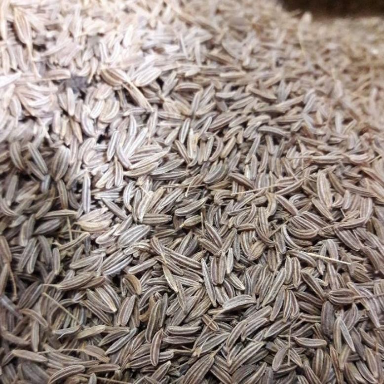 

BN Jintan / Caraway Seed 500 Gram TERLARIS