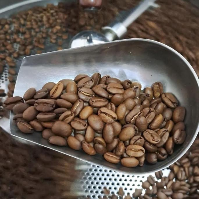 

Jasa Roasting Kopi Arabika & Robusta 20Kg