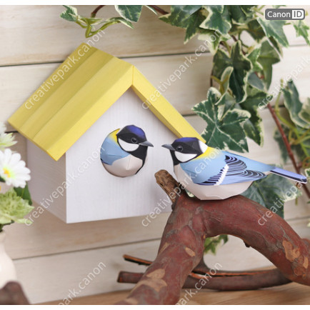 Set sangkar burung (Parus major) binatang animal diorama papercraft miniatur action figure diy keraj