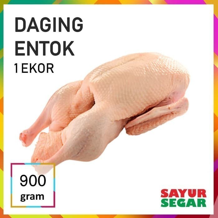 

Entok Utuh 1 Ekor Fresh Halal