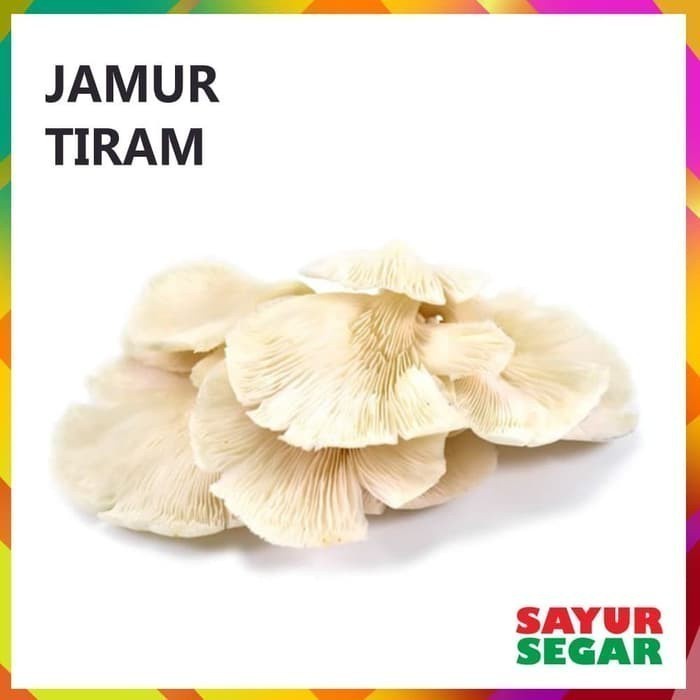 

Jamur Tiram 250G Fresh