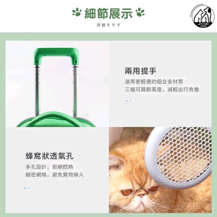 

Troli Kucing Traveling Minimalis