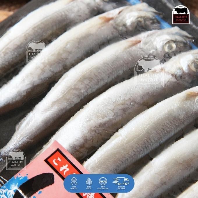 

Ikan Shisamo Full Telur Capelin Fish Premium Quality Import 8 pcs DS10