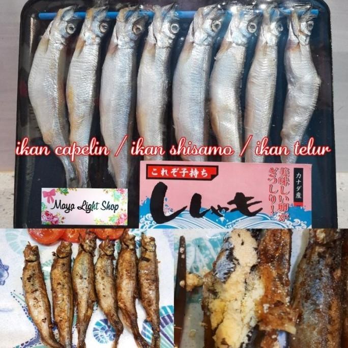 

ikan capelin shisamo fish ikan telur halal egg fish roe omega vitamin DS10