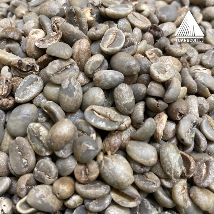 

Green Bean Arabica Washed Tuang Coffee Flores Manggarai G2