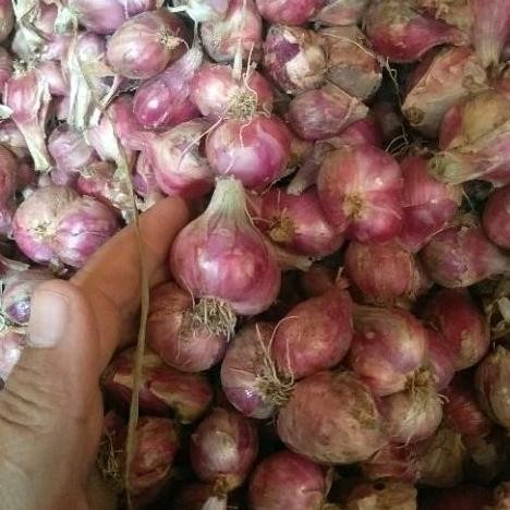 

bawang merah bumbu uk sedang 1kg bamer nganjuk Super Besar Berkualitas