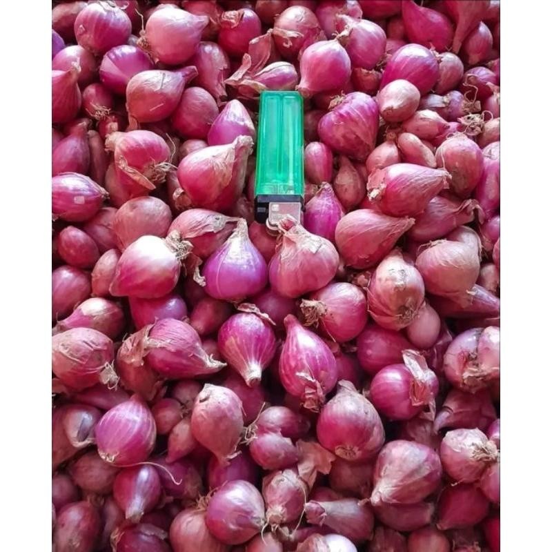 

bawang merah 1 kg asli Nganjuk|bawang merah berkualitas|pusat pertanian Super Besar Berkualitas