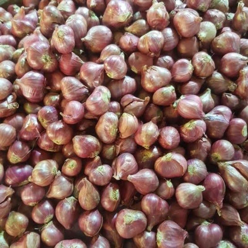 

bawang merah kecil 1 kg Super Besar Berkualitas