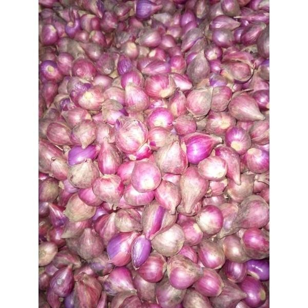 

BAWANG MERAH BREBES UKURAN BESAR 1KG Super Besar Berkualitas
